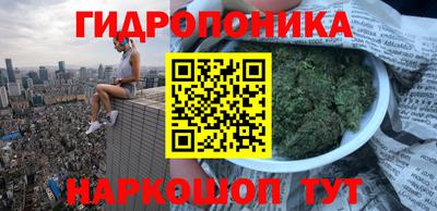 Альфа ПВП Лесосибирск