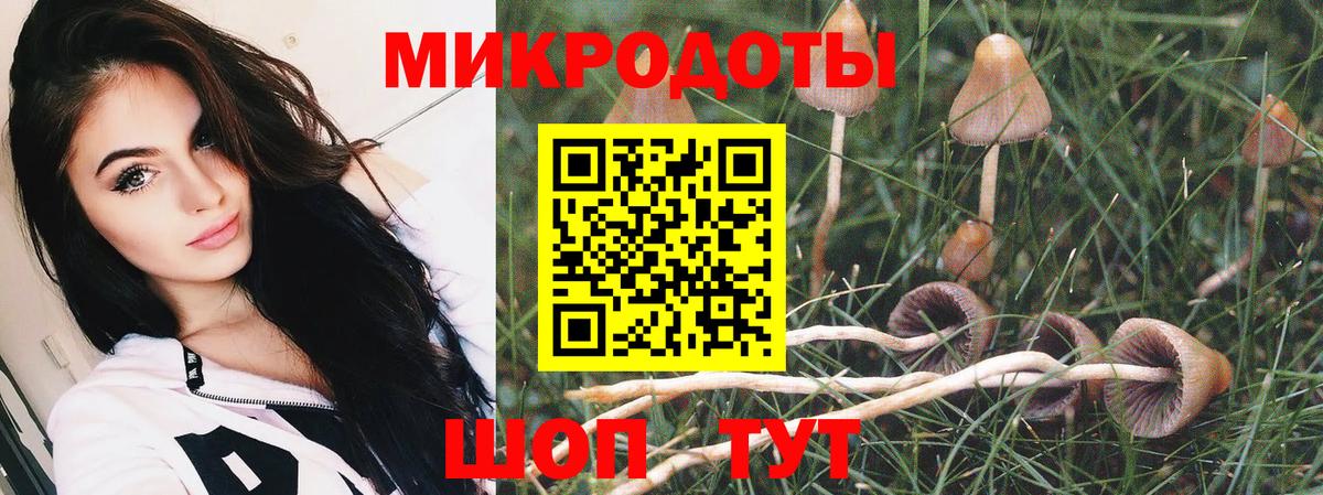 Псилоцибиновые грибы Magic Shrooms  Вход с VPN  Татарск 